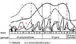 Grafico preparazione 3732