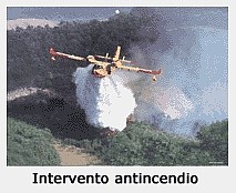 Intervento antincendio